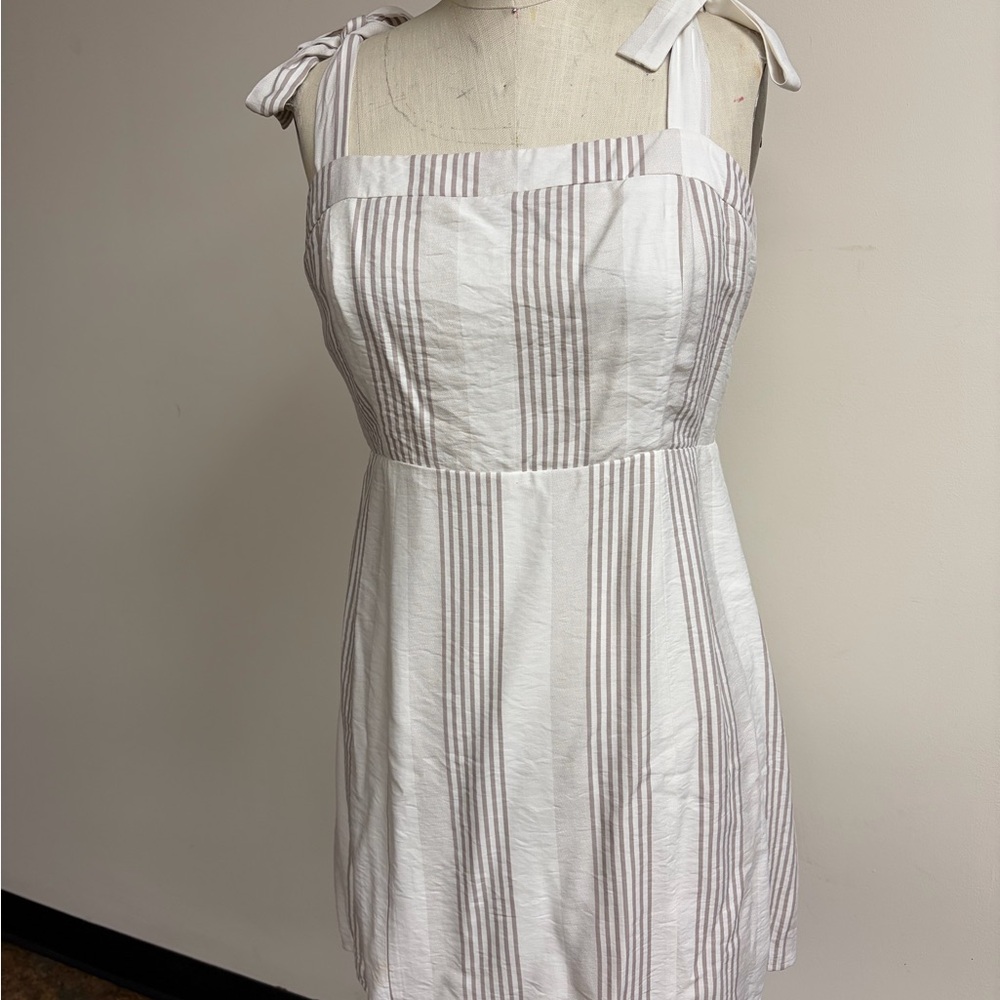 Sage Striped Mini Dress in White and Brown